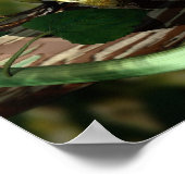 Postman Caterpijler Poster (Hoek)