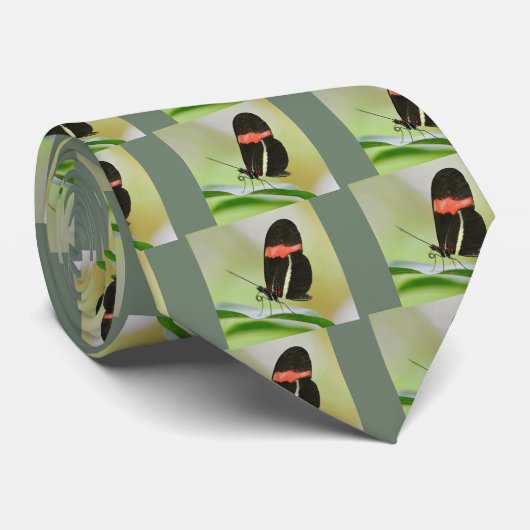 Postmanvlinder op blad stropdas (Opgerold)