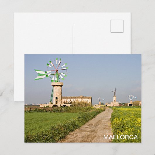 postmolino de viento en Mallorca Briefkaart (Voorkant / Achterkant)