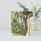 Postovergangen - Gekke Briefkaart van de Giraffe (Staand voorkant)