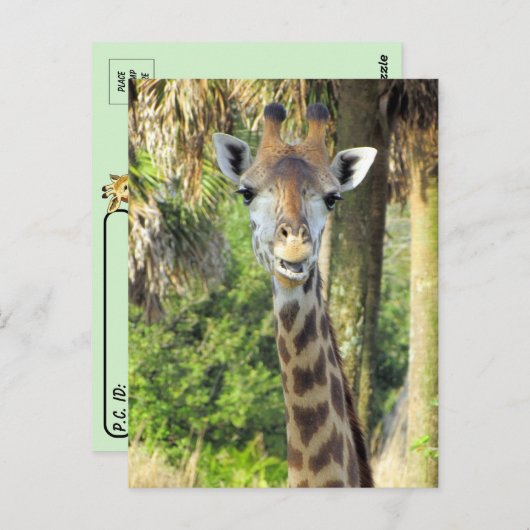 Postovergangen - Gekke Briefkaart van de Giraffe (Voorkant / Achterkant)