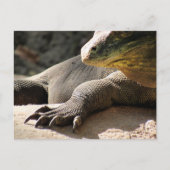 Postovertocht - Briefkaart Komodo Dragon (Voorkant)