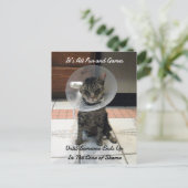 Postovertocht - Oliver The Cats Cone of Shame Briefkaart (Staand voorkant)