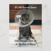 Postovertocht - Oliver The Cats Cone of Shame Briefkaart (Voorkant)