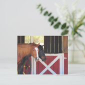 Postovertocht - Paarden in het Stable Briefkaart (Staand voorkant)