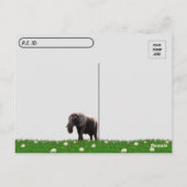 Postovertocht - Pic of a African Elephant Briefkaa Briefkaart (Achterkant)