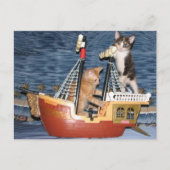 Postovertocht - Pirate Kittens - Cat / Kitten Briefkaart (Voorkant)