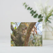 Postoverweg Pic van een Schattige eekhoorn Briefkaart (Staand voorkant)