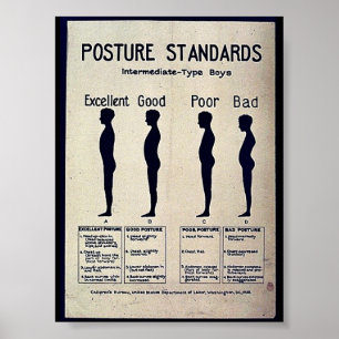 Poststandaarden Poster