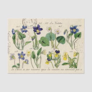  poststempel voor Viola Flowers, Frans Script Tissuepapier