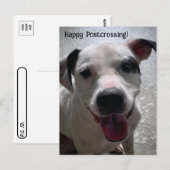 Posttransingsmajoor de Pit Bull-Briefkaart Briefkaart (Voorkant / Achterkant)
