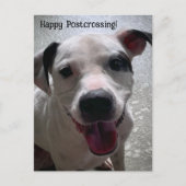 Posttransingsmajoor de Pit Bull-Briefkaart Briefkaart (Voorkant)