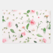 Posum Opossum Roos Floral Gift Wrapping Inpakpapier Vel (Voorkant 2)