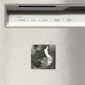 Pot-Bellied Pig Magnet (Insitu (Vaatwasser))