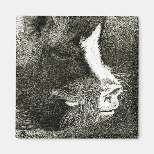 Pot-Bellied Pig Magnet (Voorkant)