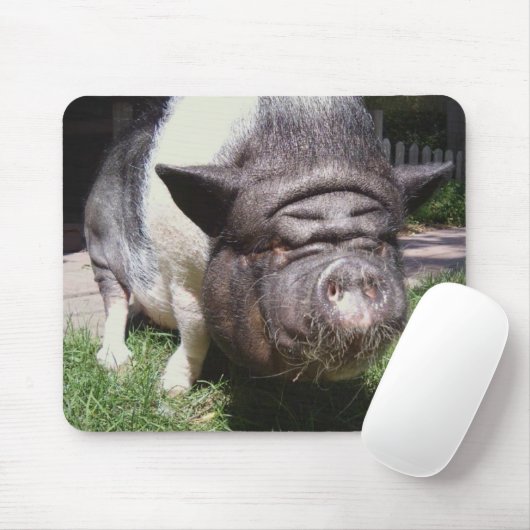 Pot-Bellied Pig Mousepad Muismat (Met muis)
