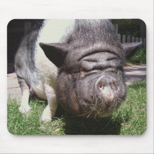 Pot-Bellied Pig Mousepad Muismat