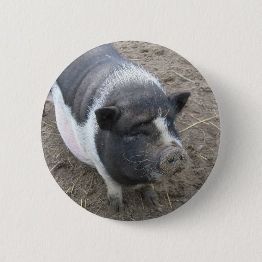 Pot Bellied Pig Ronde Button 5,7 Cm (Voorkant)