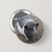 Pot Bellied Pig Ronde Button 5,7 Cm (Voorkant /achterkant)