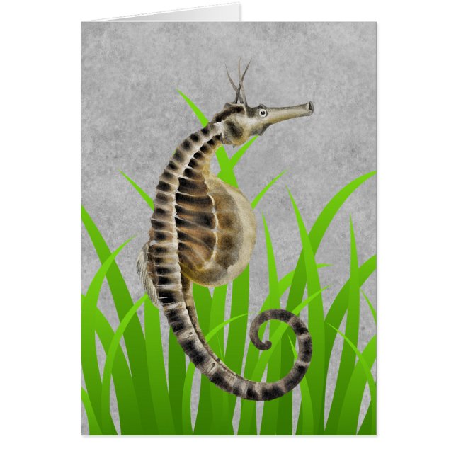 Pot Bellied Sea Horse Animal Print Nautical Notes (Voorkant)