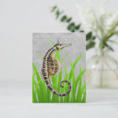 Pot Bellied Zee Horse Animal Print Briefkaart (Staand voorkant)