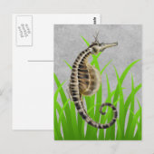 Pot Bellied Zee Horse Animal Print Briefkaart (Voorkant / Achterkant)