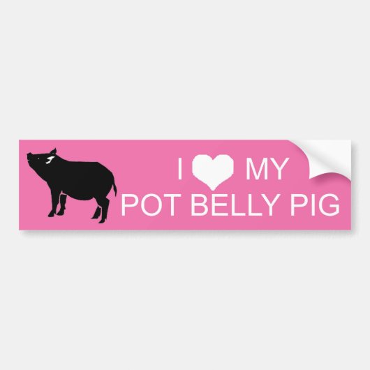 Pot Belly Pig Bumpersticker (Voorkant)