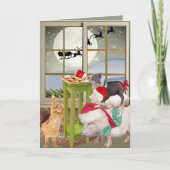 Pot Belly Pig Christmas Wish Kaarten (Voorkant)