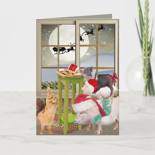 Pot Belly Pig Christmas Wish Kaarten (Voorkant)