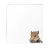 Pot Belly Pig Notitieblok (Voorkant)