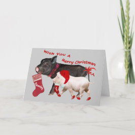 Pot Belly Pig Vrolijk Kerstfeest Feestdagen Kaart