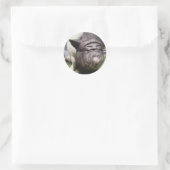 Pot buikvarken Sticker (Tas)