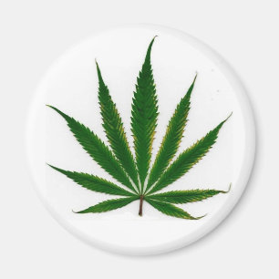 Pot Leaf Magneet