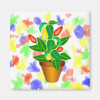 Pot met rood en geel peper plant magneet