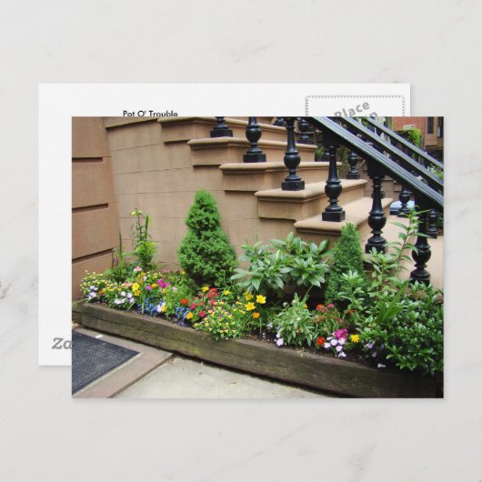 Pot O Trouble Briefkaart (Voorkant / Achterkant)