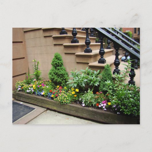 Pot O Trouble Briefkaart (Voorkant)