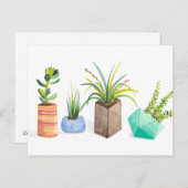 Pot Succulenten Briefkaart (Voorkant / Achterkant)