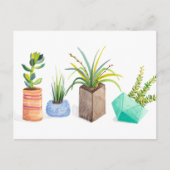 Pot Succulenten Briefkaart (Voorkant)