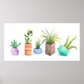 Pot Succulenten Poster (Voorkant)