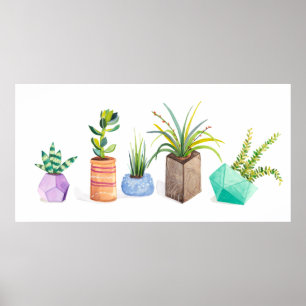 Pot Succulenten Poster