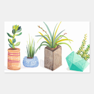 Pot Succulenten Rechthoekige Sticker