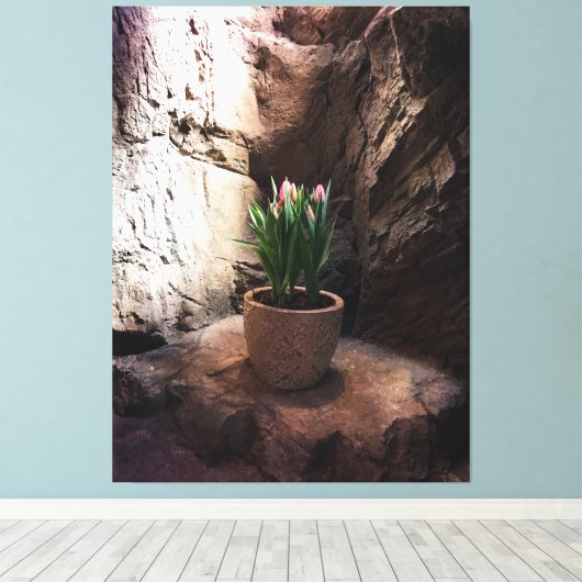 Pot Tulpen in een Grotto Canvas Afdruk (Insitu (Houten vloer))