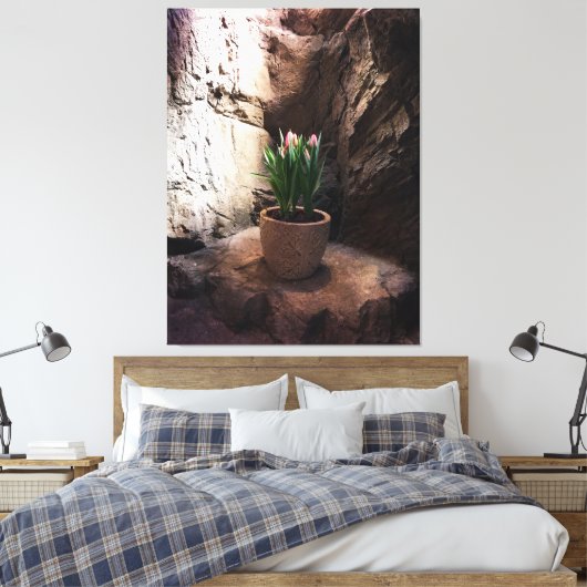 Pot Tulpen in een Grotto Canvas Afdruk (Insitu (Slaapkamer))