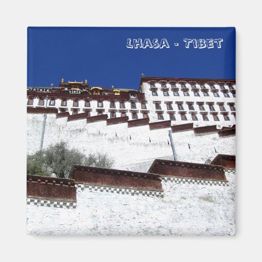 Potala Palace, Lhasa - Tibet (Fridge Magnet) Magneet (Voorkant)