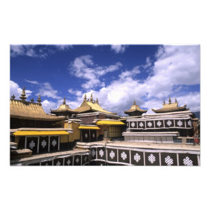 Potala-paleis binnen met kerktorens thuis foto afdruk