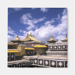 Potala-paleis binnen met kerktorens thuis magneet