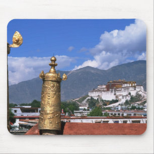 Potala-paleis in Lhasa, Tibet gefotografeerd vanui Muismat