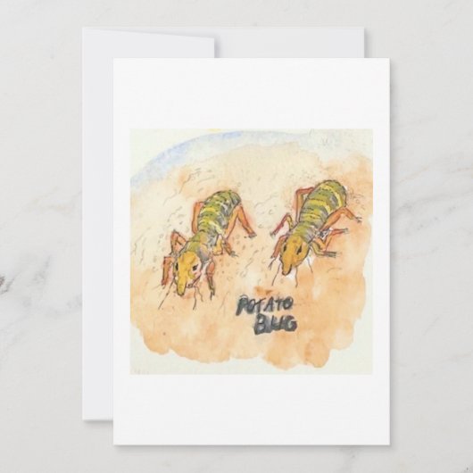 Potato Bug Greeting Card Kaart (Voorkant)
