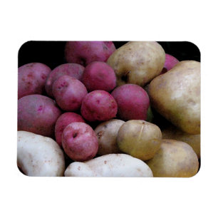 Potato Magnet Magneet
