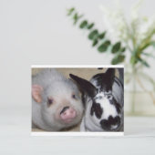Potbelly Pig en Friend Briefkaart (Staand voorkant)